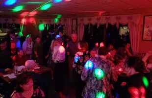 Venus Discobars - The party team