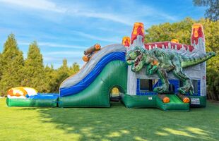 InflatableTX