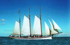 Sailing / Hollands Glorie